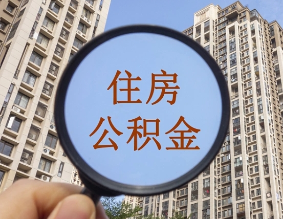 濮阳退休后查不到公积金明细了吗（退休后公积金查询不到原因）